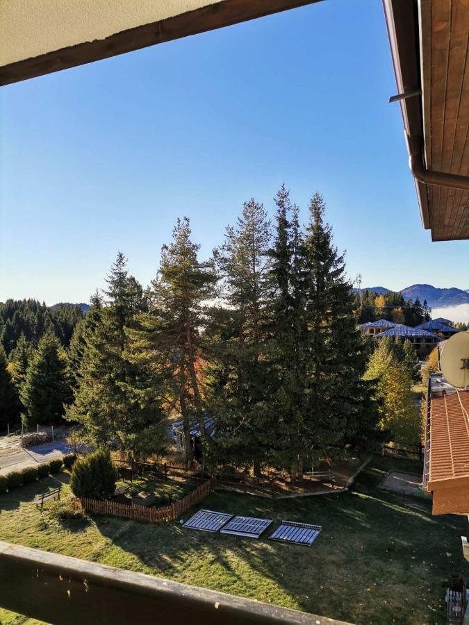Forest Home 524 Smolyan Extérieur photo